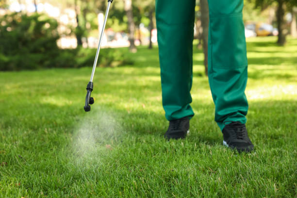 Best Pest Removal Services  in Raintree Plantation, MO
