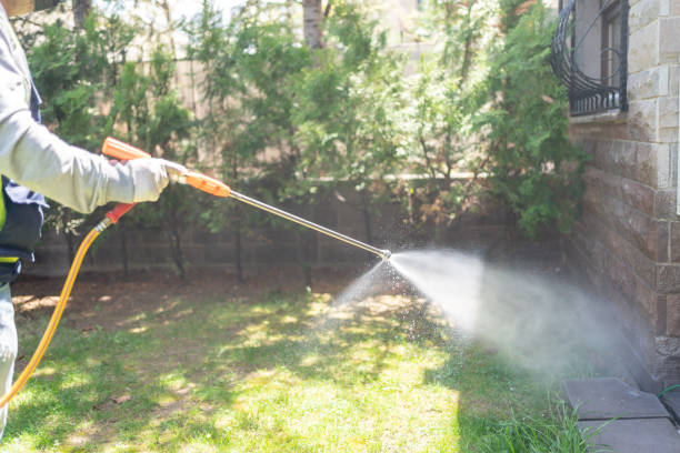 Best Mosquito Control Services  in Raintree Plantation, MO