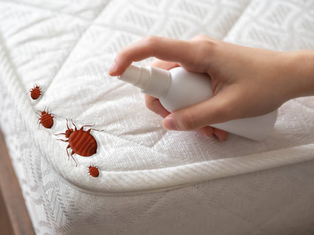 Best Best Pest Control Companies  in Raintree Plantation, MO