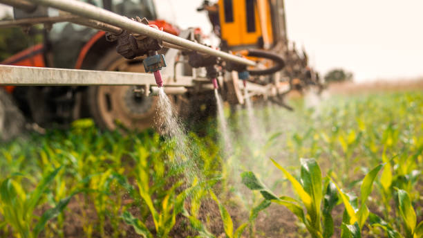 Best Commercial Pest Control Services  in Raintree Plantation, MO